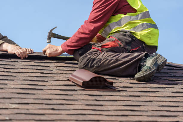 Roof Gutter Cleaning in Elkton, VA