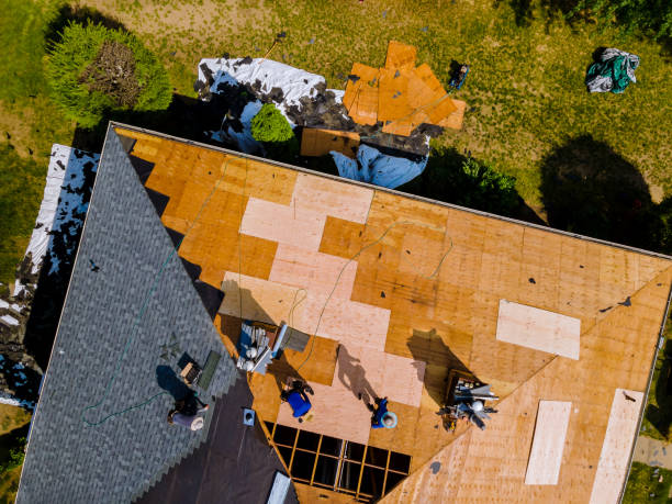 Best Roof Repair Services  in Elkton, VA