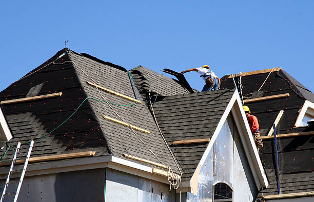 Best Gutter Installation and Roofing  in Elkton, VA